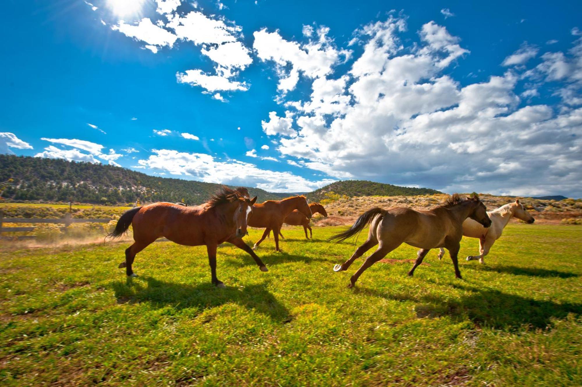 Villa Boulder Mountain Guest Ranch Exterior foto